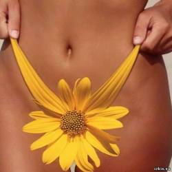 ����������� ������: �������� �����������